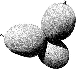 seed pod konisa studio black walnut