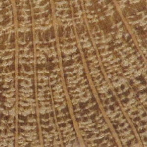 wood end grain endgrain konisa studio white oak