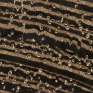 wood end grain konisa studio wenge endgrain